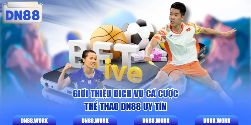 Giới thiệu dịch vụ cá cược thể thao DN88 uy tín